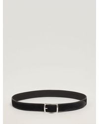Orciani - Belt - Lyst