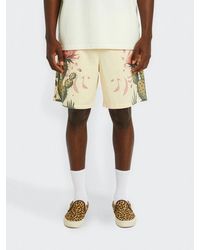 Barrow - Printed Cotton Shorts - Lyst