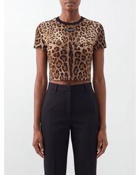 Dolce & Gabbana - Dolce &Amp Gabbana Animalier Print Cropped Cotton T-Shirt With Logo - Lyst