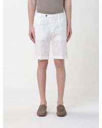 Briglia 1949 - Cotton Tailored Shorts - Lyst