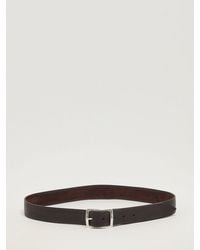 Orciani - Belt - Lyst