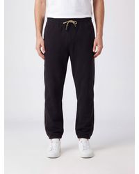 Burberry - Cotton Jogging Trousers With Embroidered Ekd Logo And Drawstring Waist - Lyst