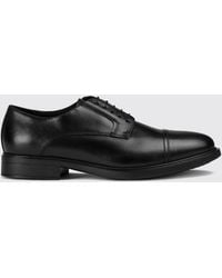 Doucal's - Brogue Shoes - Lyst
