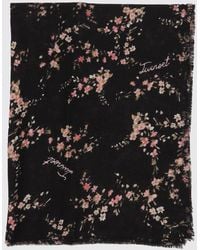Twinset - Floral Print Maxi Scarf With Fringed Edges - Lyst