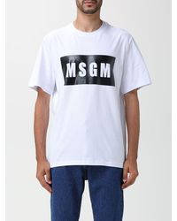 MSGM - Cotton T-shirt With Printed Logo - Lyst
