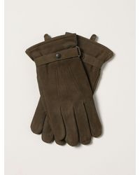 Barbour Gloves - Green