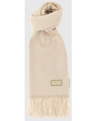 Agnona - Silk And Cashmere Scarf With Fringed Edges - Lyst