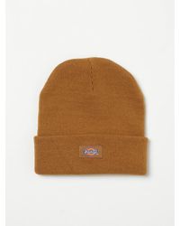 Dickies - Hut Herren - Lyst