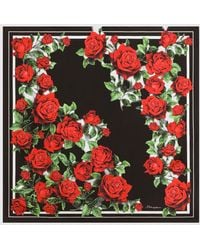 Dolce & Gabbana - Dolce &Amp Gabbana Floral Print Silk Scarf With A Contrast Logo - Lyst