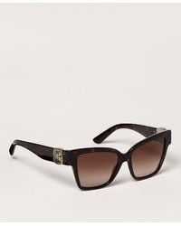Dolce & Gabbana - Dolce &Amp Gabbana Acetate Sunglasses - Lyst