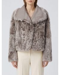 Yves Salomon - Cropped Lambskin Jacket With Sailor Collar - Lyst