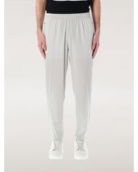 EA7 - Hose Herren - Lyst