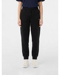 Lacoste - Cotton Blend Jogging Trousers - Lyst