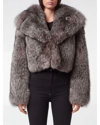 Philipp Plein - Cropped Fox Fur Jacket With Crystals - Lyst