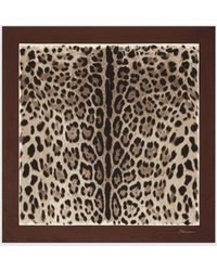Dolce & Gabbana - Fular con estampado de leopardo - Lyst