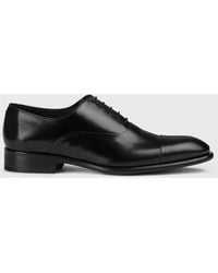 Doucal's - Brogue Shoes - Lyst