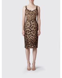 Dolce & Gabbana - Dolce &Amp Gabbana Animalier Cady Bustier Midi Dress With Square Neckline - Lyst