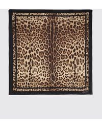 Dolce & Gabbana - Dolce &Amp Gabbana Scarf - Lyst