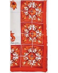 Dolce & Gabbana - Dolce &Amp Gabbana Scarf - Lyst