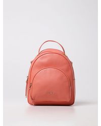 zaini coccinelle