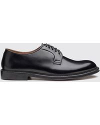 Doucal's - Brogue Shoes - Lyst