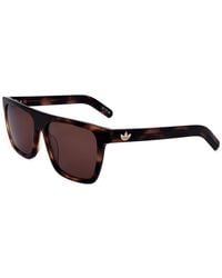 Alexander Wang - Or0140 55Mm Sunglasses - Lyst