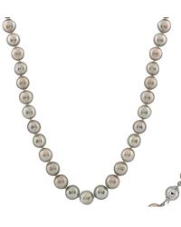 Splendid - Silver 12-13mm Pearl Necklace - Lyst