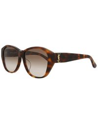 Saint Laurent Slm8fn 57mm Sunglasses - Brown