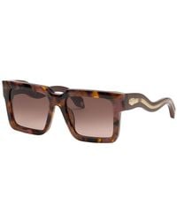 Roberto Cavalli - 55Mm Sunglasses - Lyst