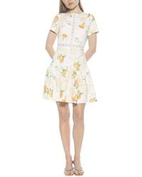 Alexia Admor - Alexa Fit & Flare Dress - Lyst