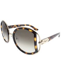 Ferragamo - Sf719s 52mm Sunglasses - Lyst