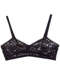 Wolford - Bold Lace Built Up Triangle Bra - Lyst