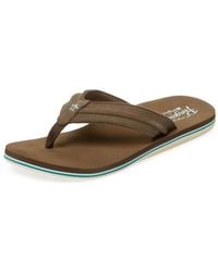 penguin flip flops