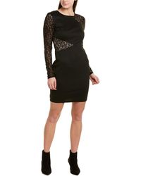 bcbg casual dresses