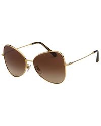 Dolce & Gabbana Unisex Dg 58mm Sunglasses - Brown