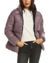 Save The Duck - Lois Luck15 Short Jacket - Lyst