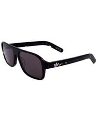 Alexander Wang - Or0141 55Mm Sunglasses - Lyst