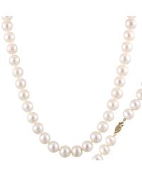 Splendid - 14k 11-11.5mm Freshwater Pearl Necklace - Lyst