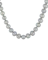 Splendid - Rhodium Plated 12-13mm Pearl Necklace - Lyst