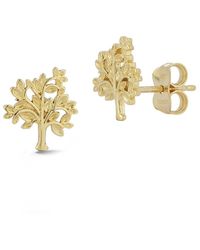Ember Fine Jewelry - 14k Tree Of Life Earrings - Lyst
