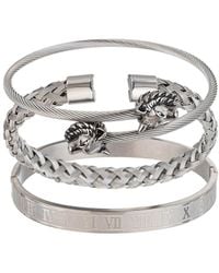 Eye Candy LA - Premium Collection Titanium Lion 3pc Stretch Bracelet Set - Lyst
