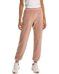 Project Social T - High Roller Velour Jogger Pant - Lyst