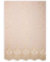 Saachi - Lace Shimmer Scarf - Lyst