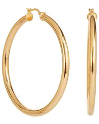 Savvy Cie - 18k Plated Chubby Hoops - Lyst