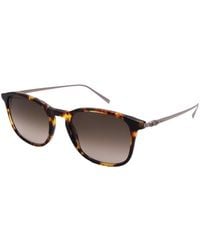 Ferragamo - Salvatore 53Mm Sunglasses - Lyst