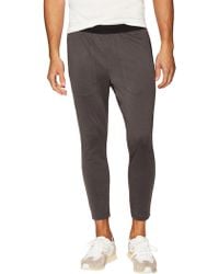theory sweatpants