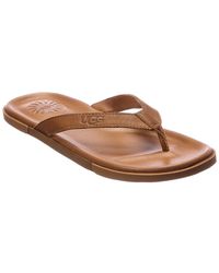 ugg leather flip flops mens