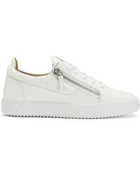 basket zanotti homme