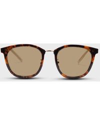 Glassworks Tortoise Shell And Gold Arm Classic Sunglasses - Multicolour