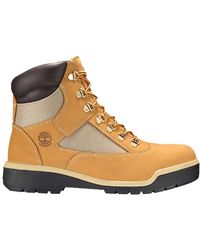 6in field boot timberland